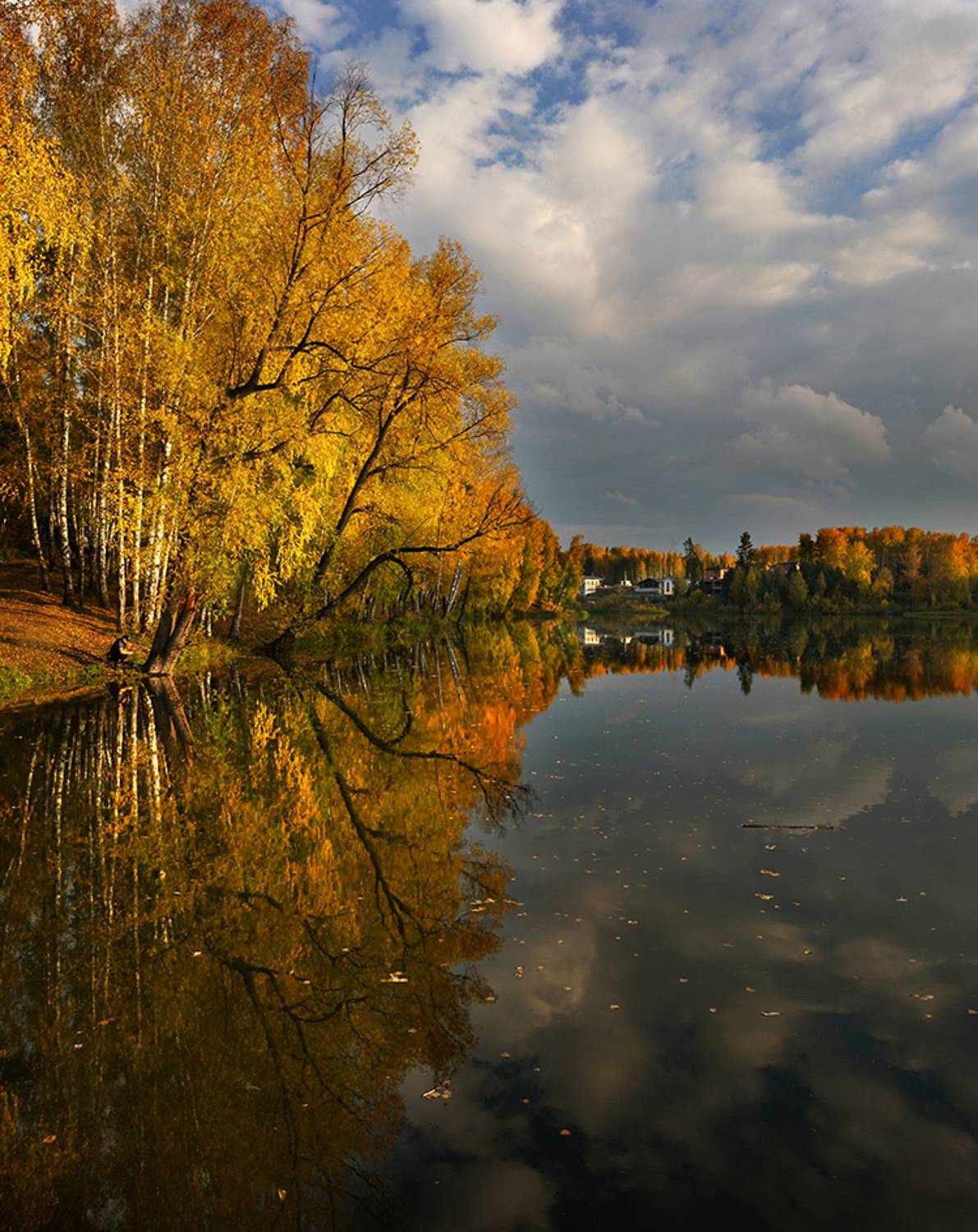 , Алексей Родак