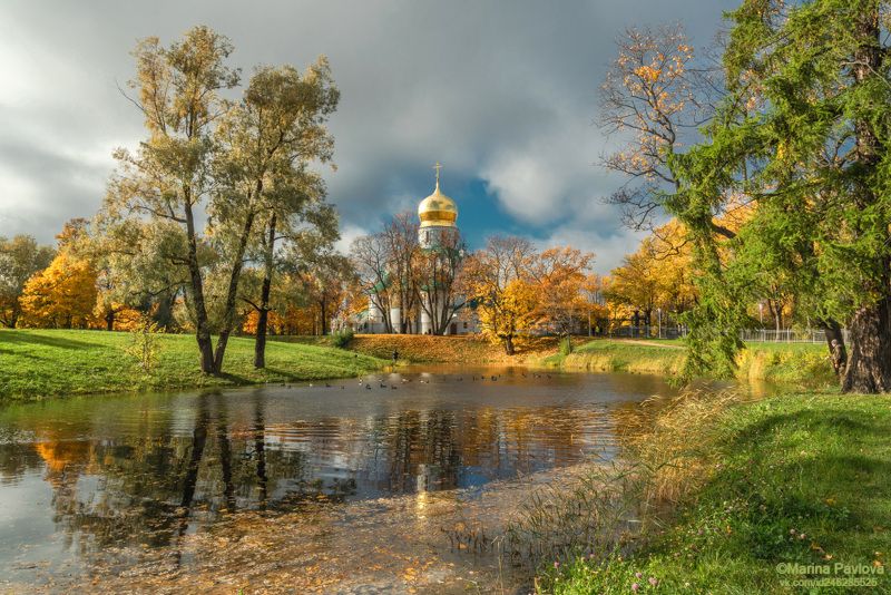 город, архитектура, город пушкин, городской пейзаж, осенний пейзаж, царское село, фермский парк, собор феодоровской иконы божией матери, храм, золотая осень, пригороды петербурга Осенний Фермский парк. Собор Феодоровской иконы Божией Матери. фото превью