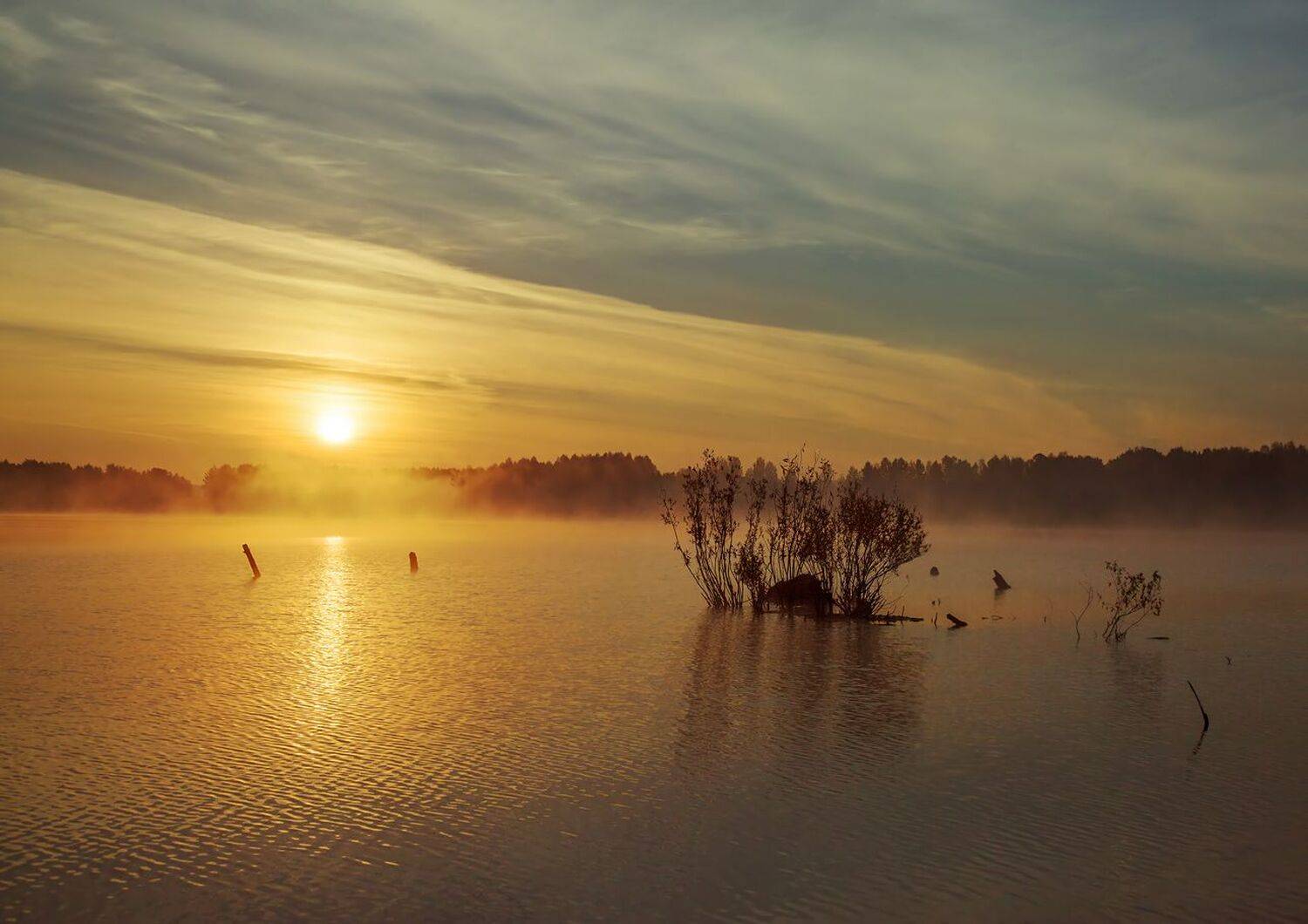 , Алексей Хахлов