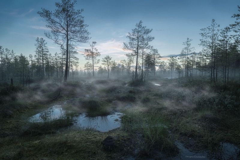 болото фото превью