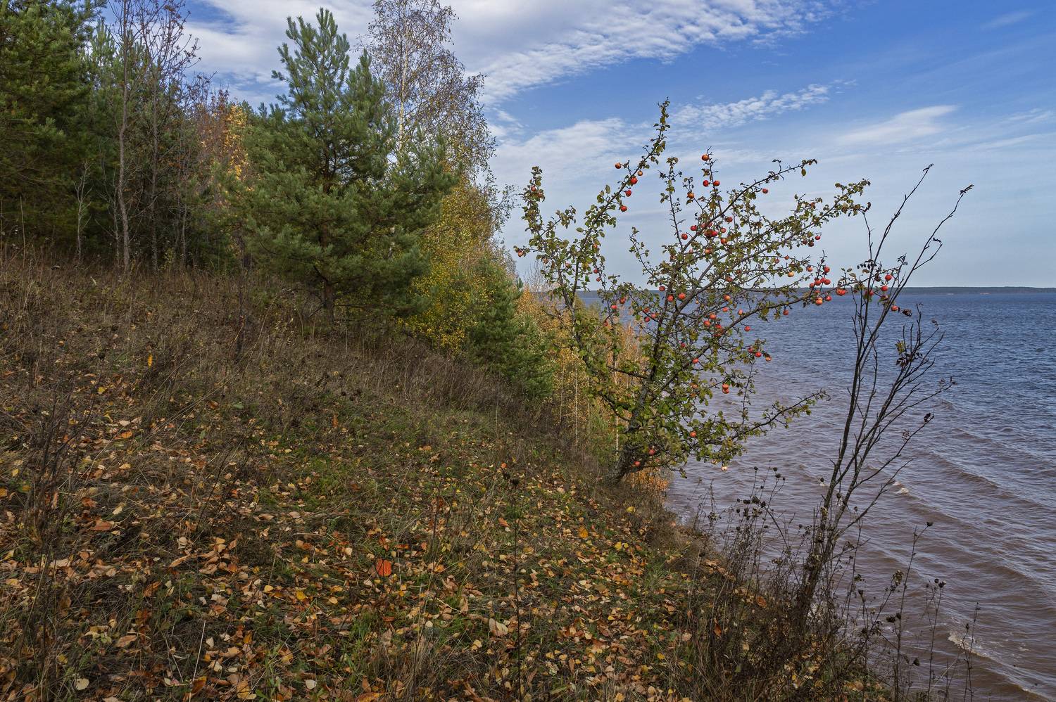 , Шитов Александр