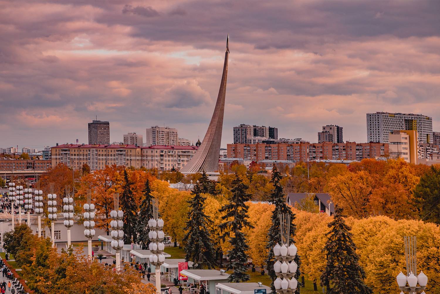 , Трепольский Дмитрий