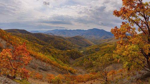 Осенний Сихотэ-Алинь