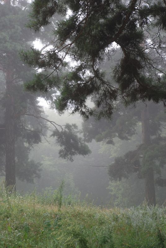 ***** фото превью