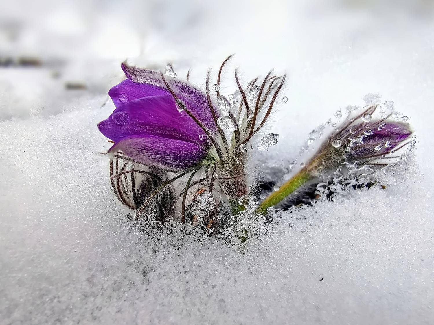 Mi Note 10 pro, Дмитрий Кузнецов