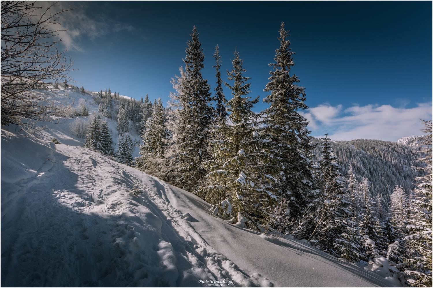 polska, tatry, zima, drzewa, Kowalczyk Piotr