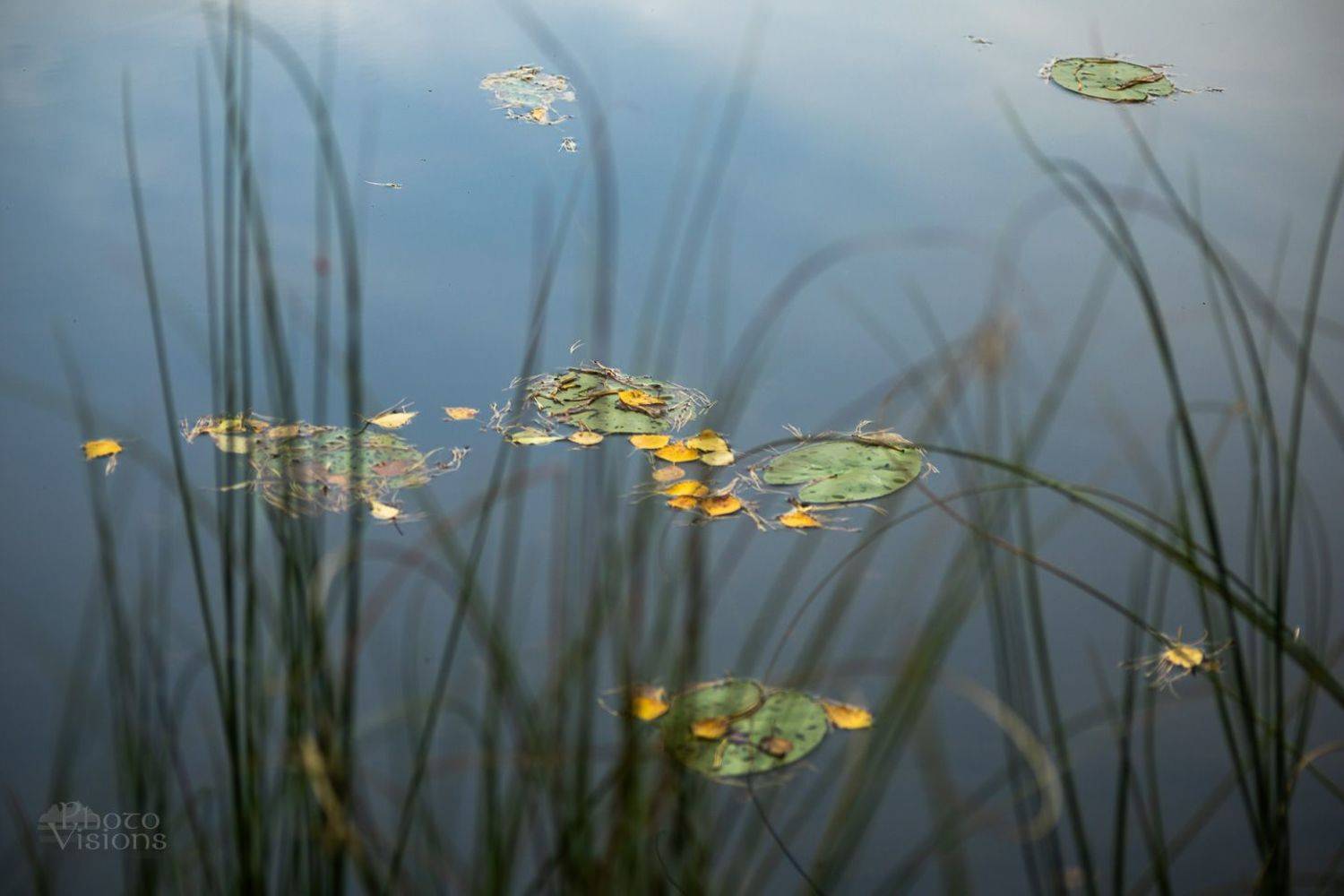 autumn,autumnal,nature,lake,water,, Photo Visions
