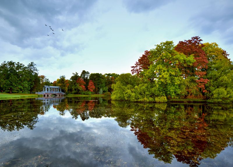 санкт-петербург, царское село, парк, пруд, озеро, отражение, мраморный мост, осень, Осенний парк фото превью