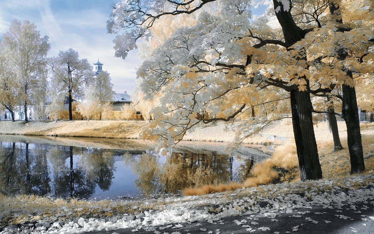 инфракрасная фотография, осень парк,  Гобова Наталья