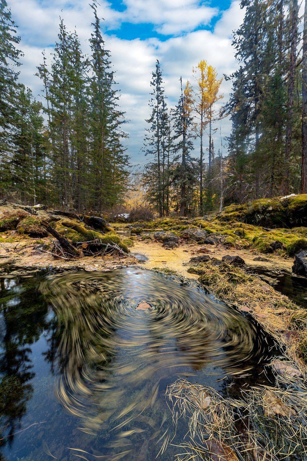 , Буянов Илья