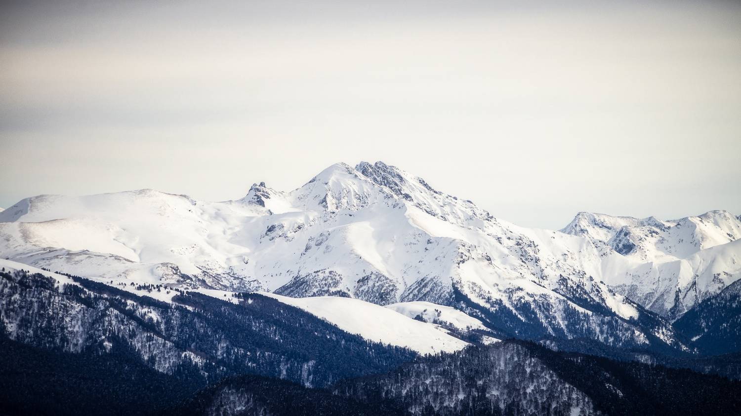 , Антон Литвин