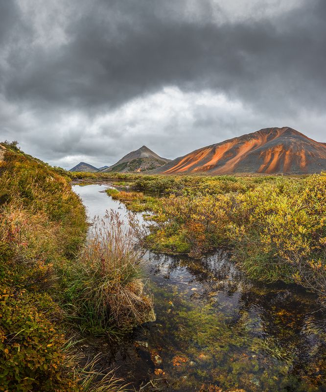 Чукотка 2023 фото превью