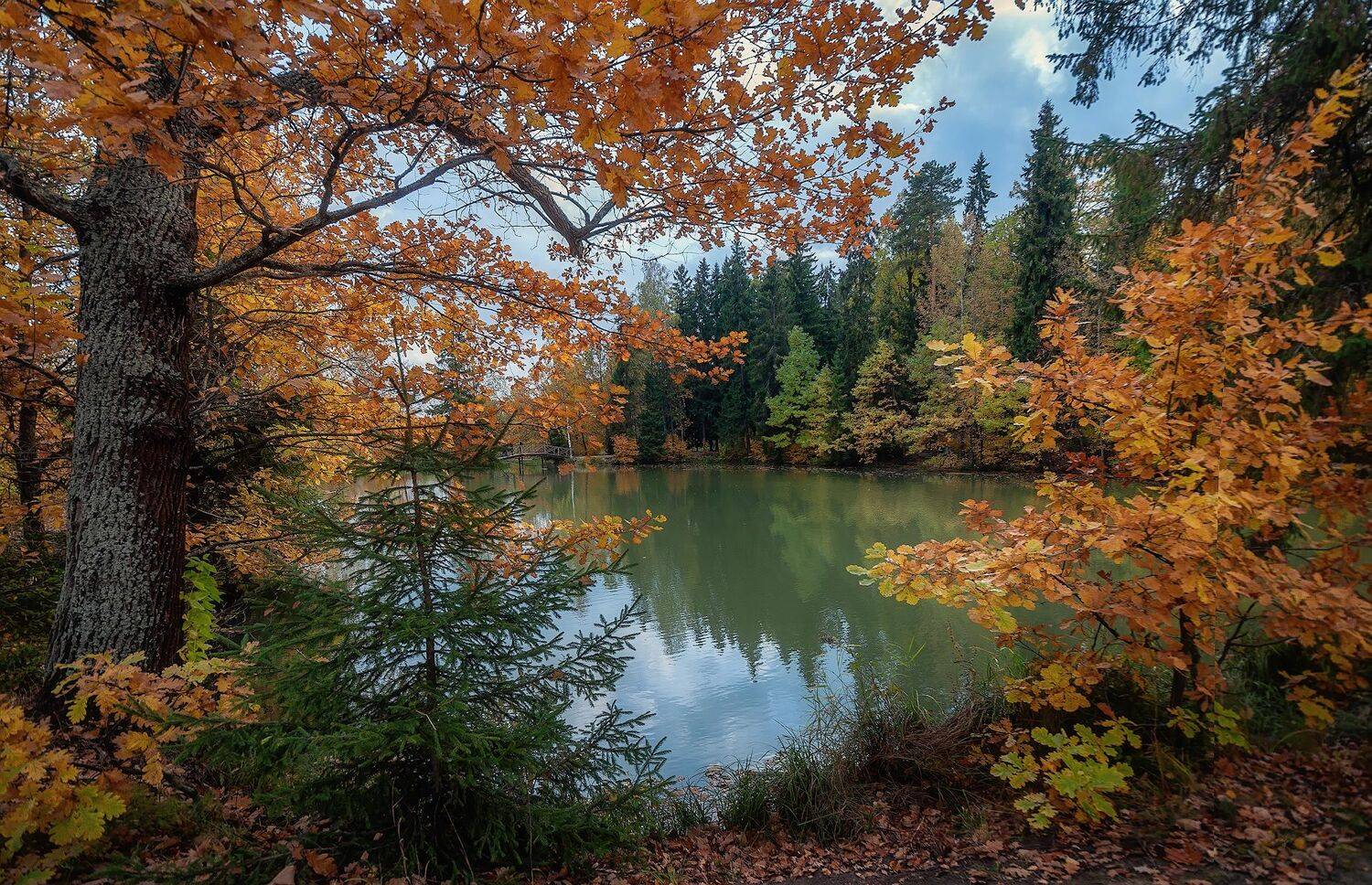 осень, абрамцево, пруд, Сергей Аникин