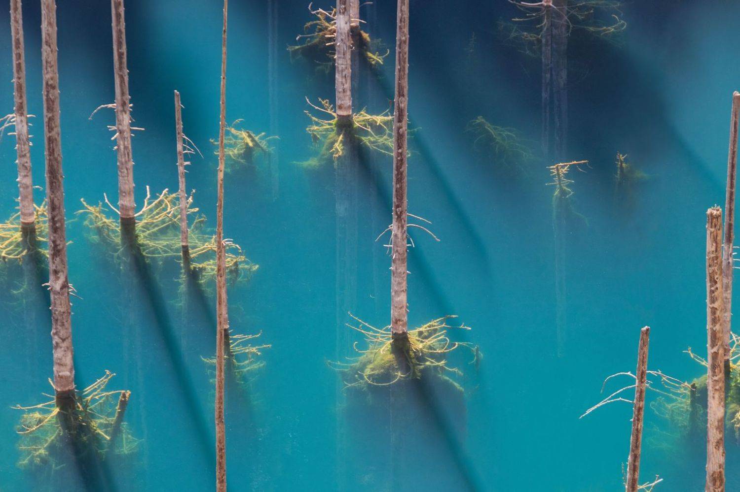 казахстан, северный тянь-шань, озеро каинди, утро, Кетова Вера