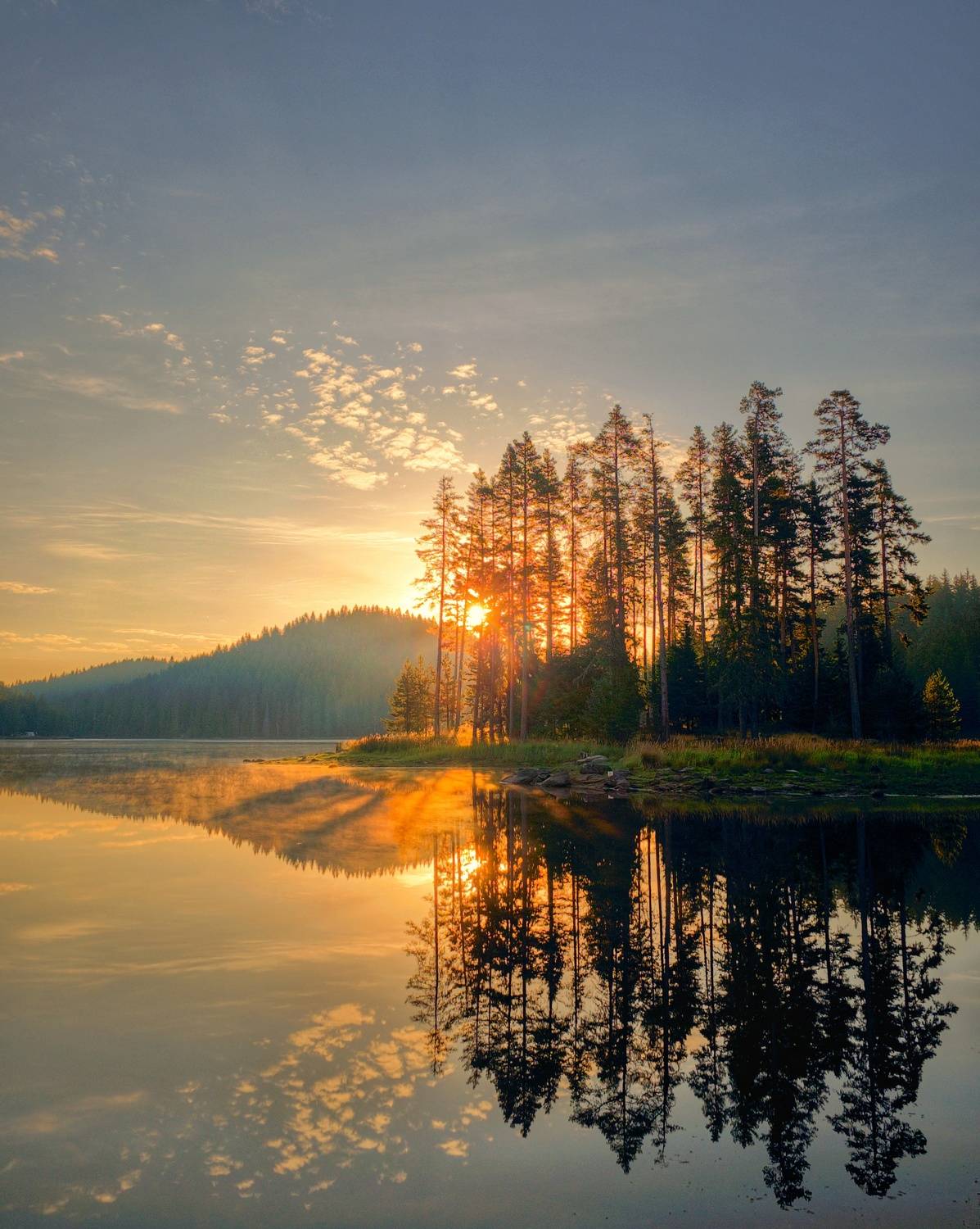 , Герчев Николай