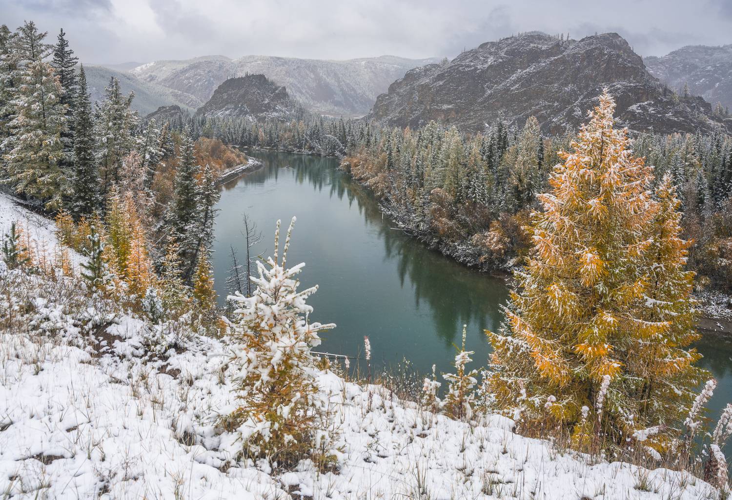 россия, горный алтай, река чуя, осень,снегопад, Андрей Поляков