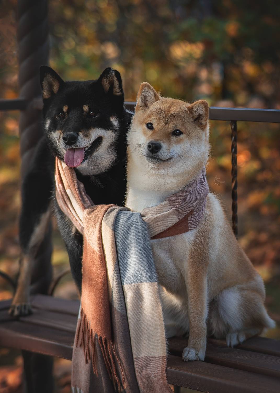 , Коптилина Галина