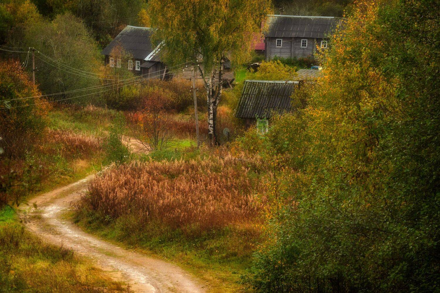 , Вячеслав Косенков