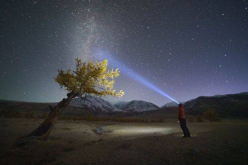 Ночной диалог