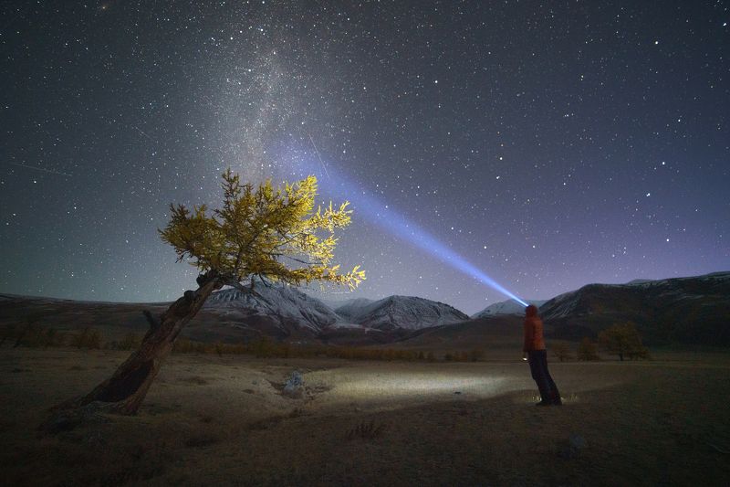 тува, республика тыва,  siberia, тайга, nerozya, russia, tuva, travel, exployer, russia Ночной диалог фото превью