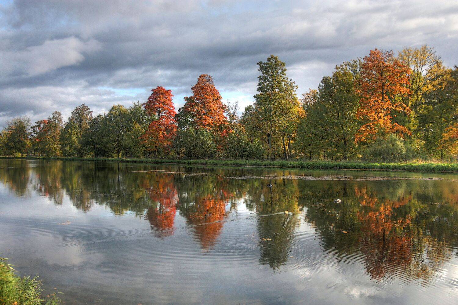 , Сергей Григорьев