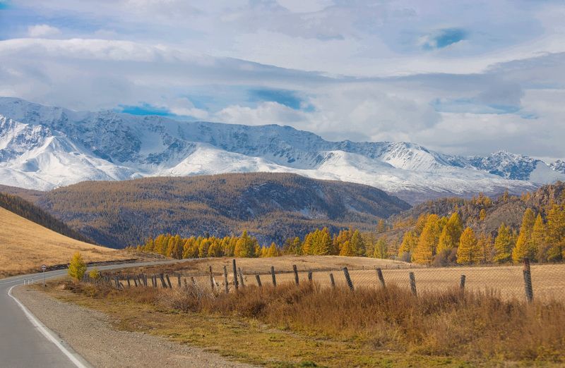 Краски осеннего Алтая фото превью
