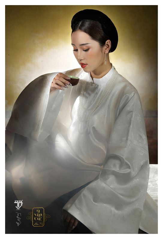 Vietnamese visual arts and media costumes фото превью