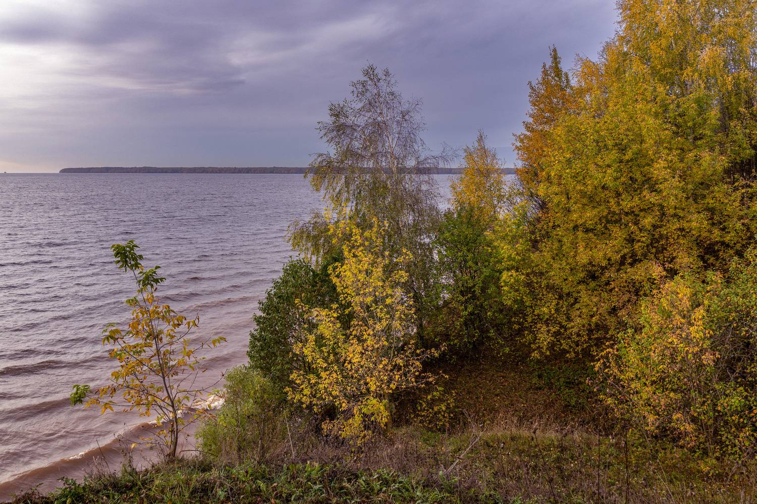 , Шитов Александр