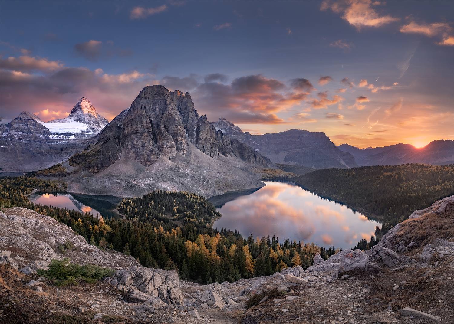 assiniboine, larch, Evgeny Chertov