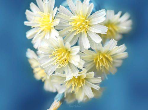 Совершенство