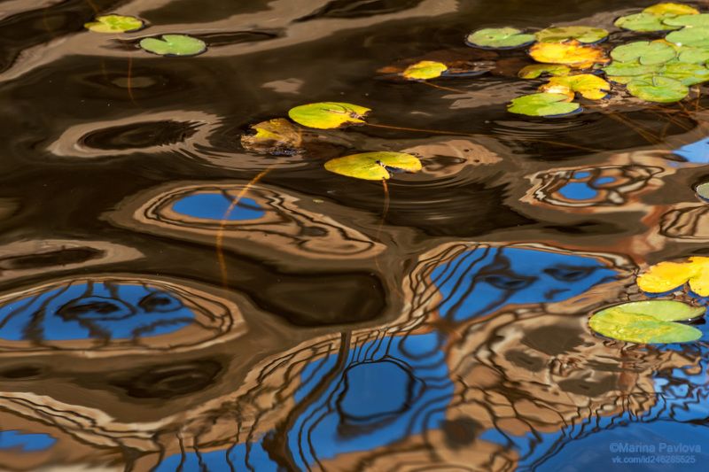 абстракция, акваабстракция, акваграфика, отражение на воде, парейдолия, осенние отражения, красивая вода, красный пруд,природа Призрачный мир осеннего пруда фото превью