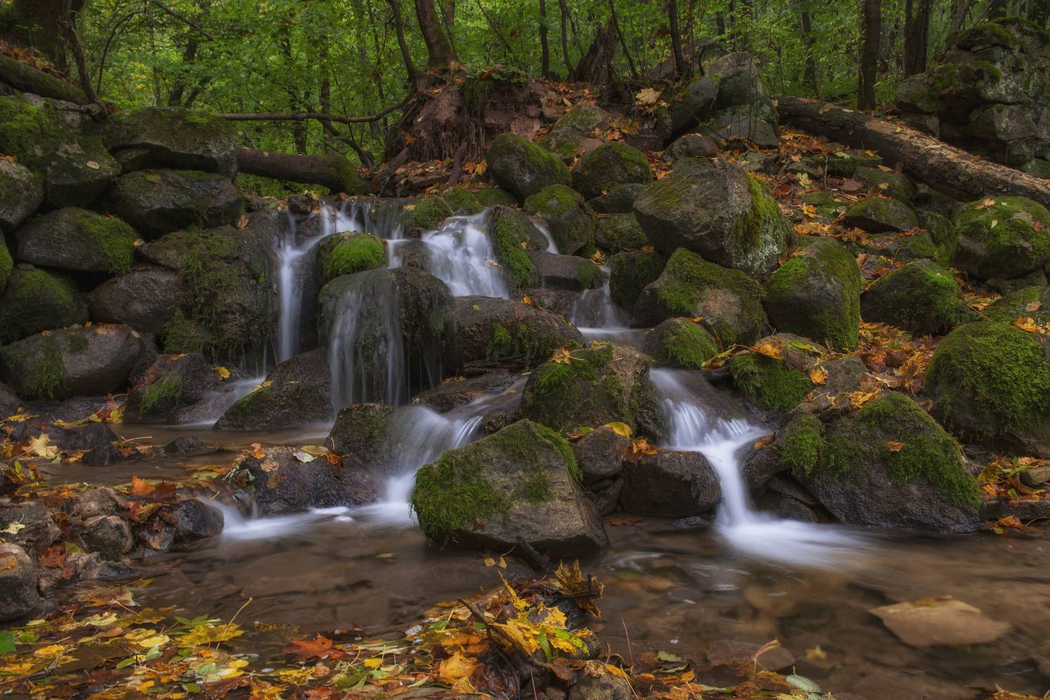 , Кулаков Юрий