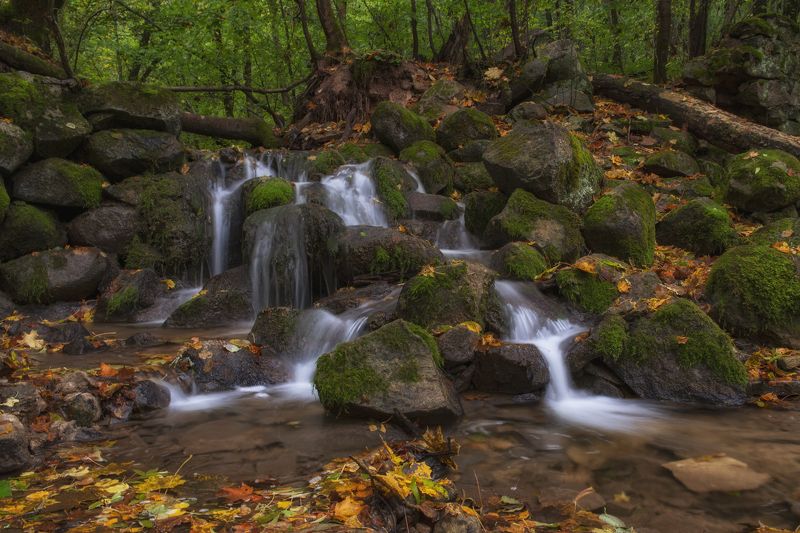 Мельничий ручей фото превью