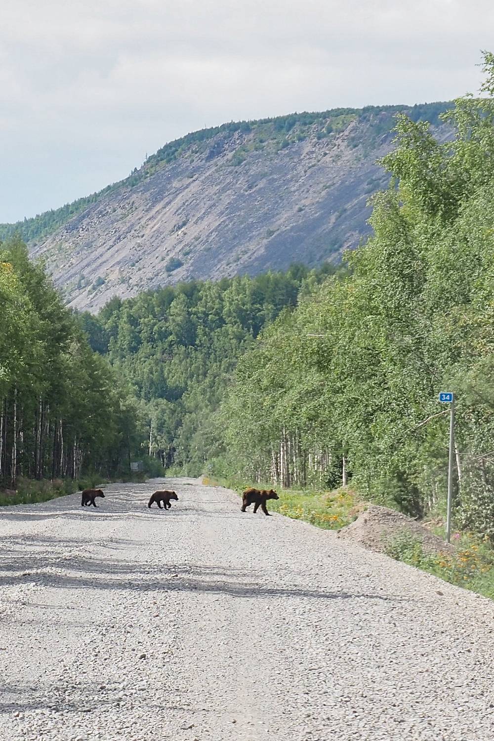 , Калёв Сергей