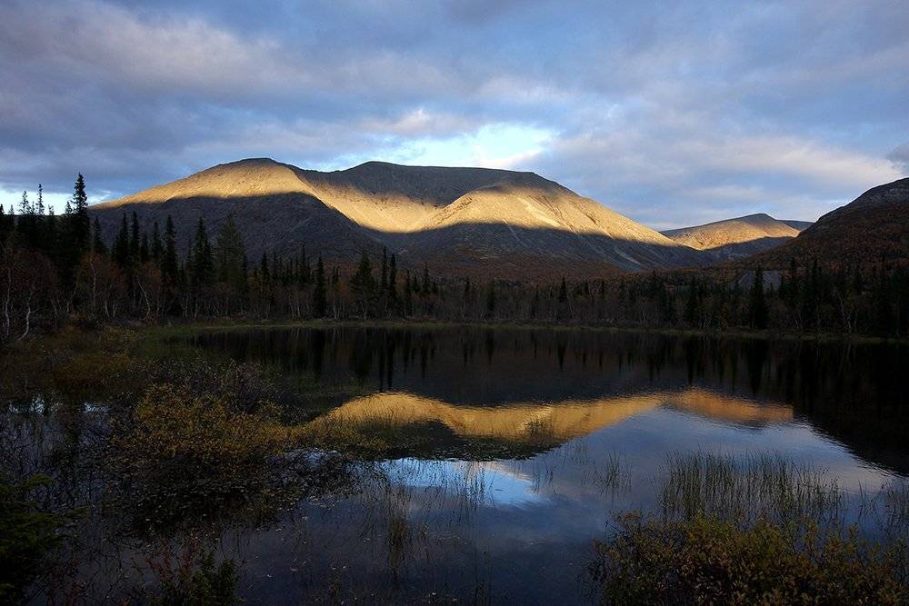 , Иваненко Светлана