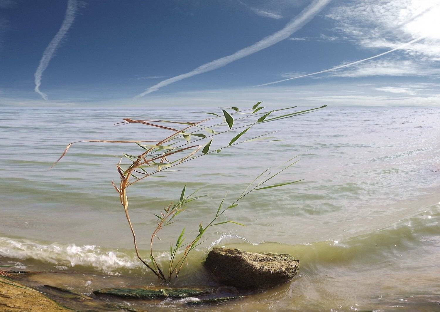 одесса, Сергей Кошелев