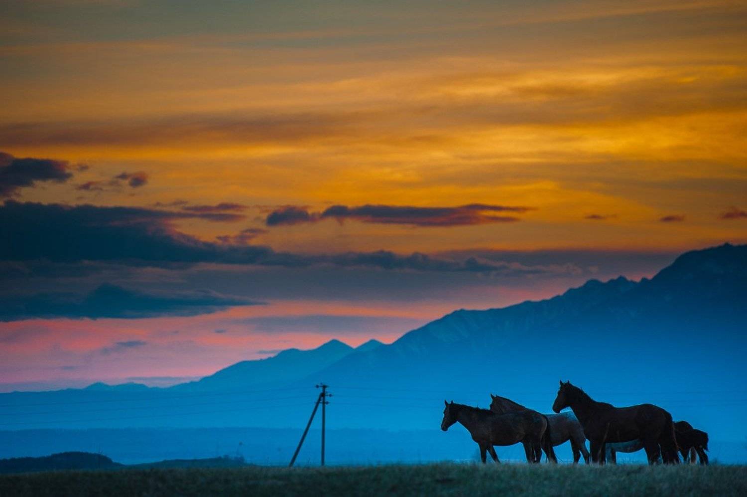 закат, рассвет, саяны, горы, лошади, животные, табун, Еремеев Евгений