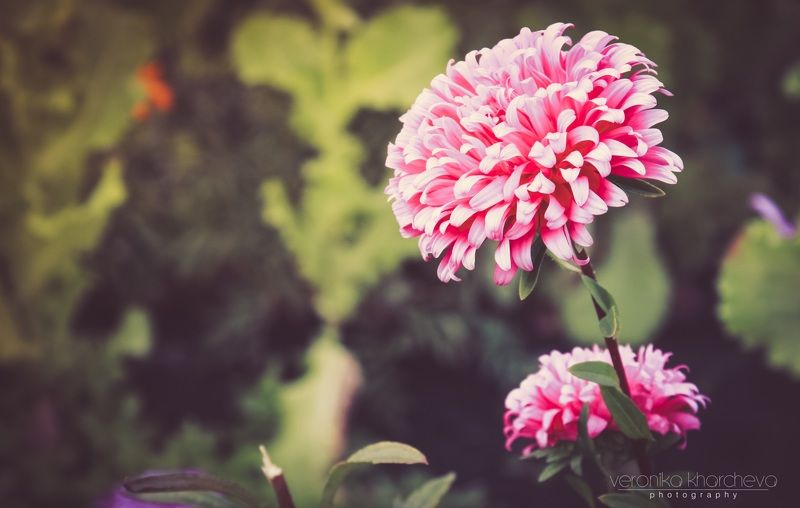 По кромке осени фото превью