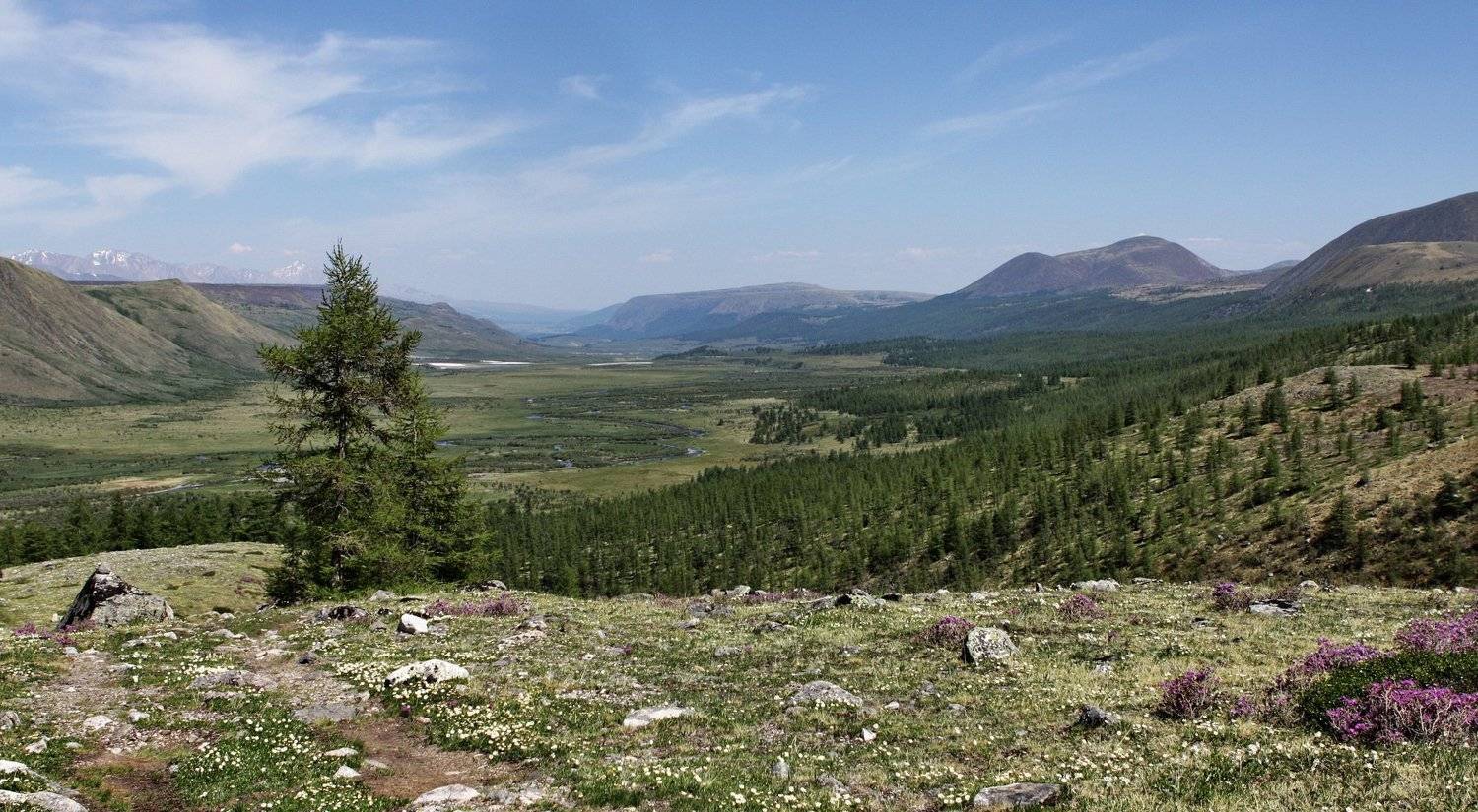 , Дмитрий Кононов