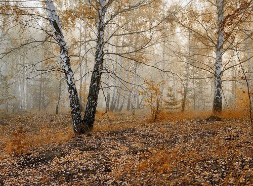 Осенний мотив.