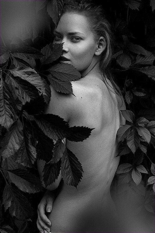 An2 фото превью