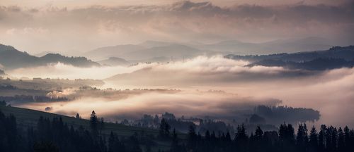 ...И звуки не резки