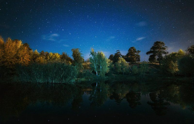 Ночная жизнь лесного озера фото превью