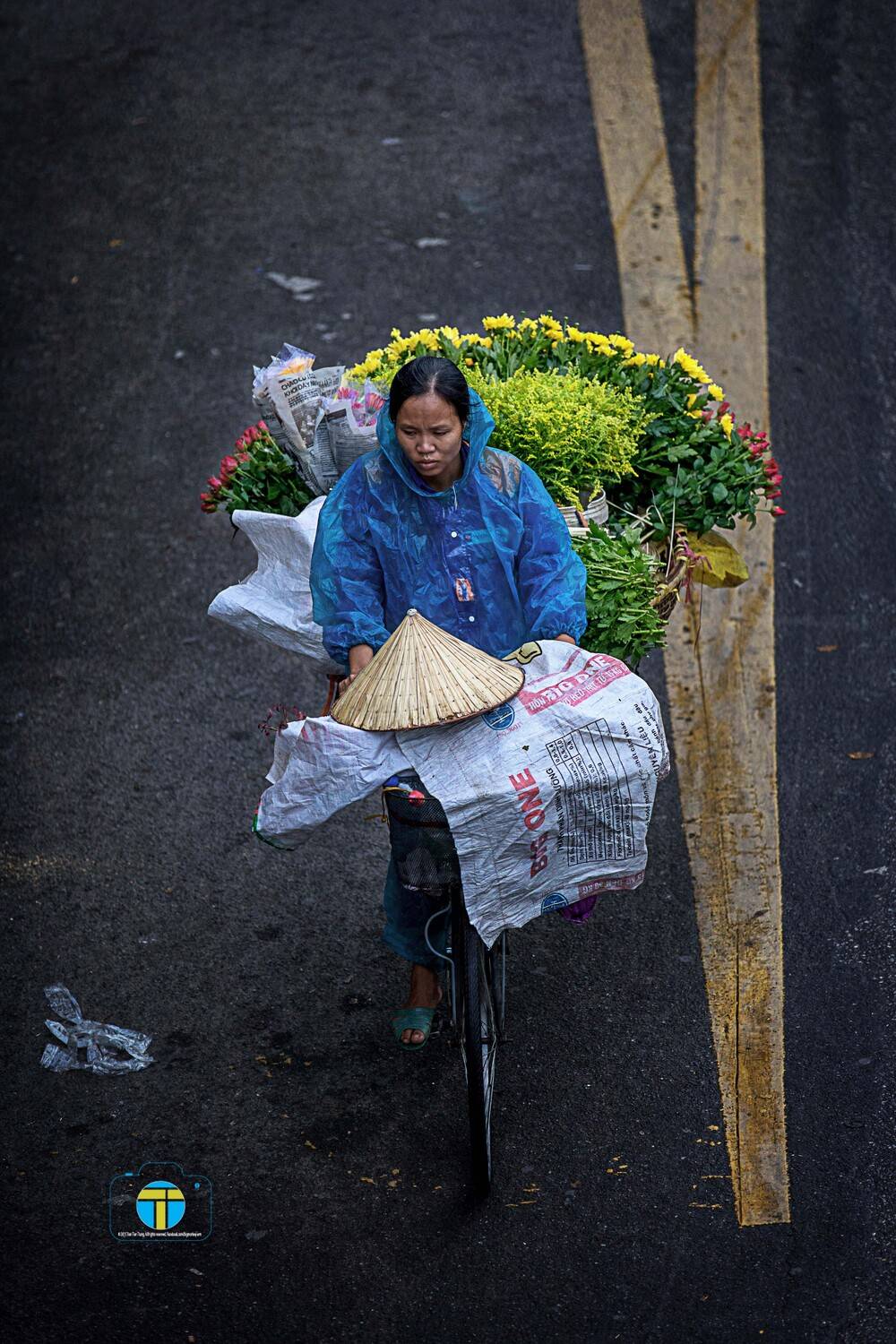 , Trần Tiến Trung