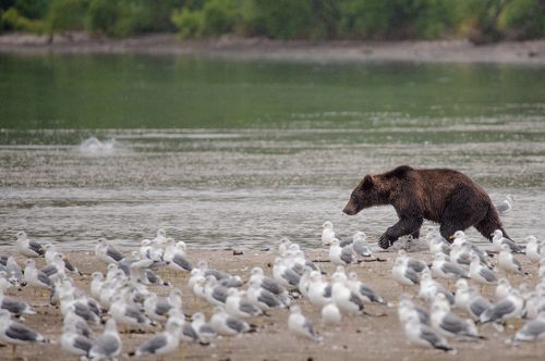 Романтика
