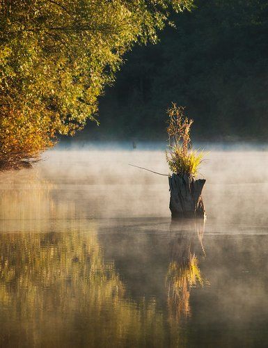 Золотое утро сентября