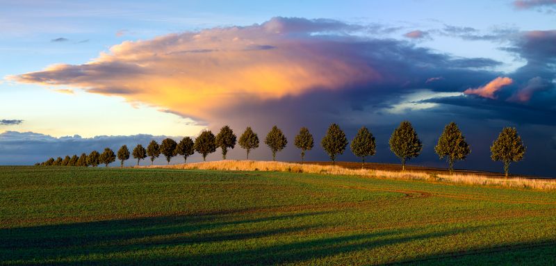 evening rainfall
