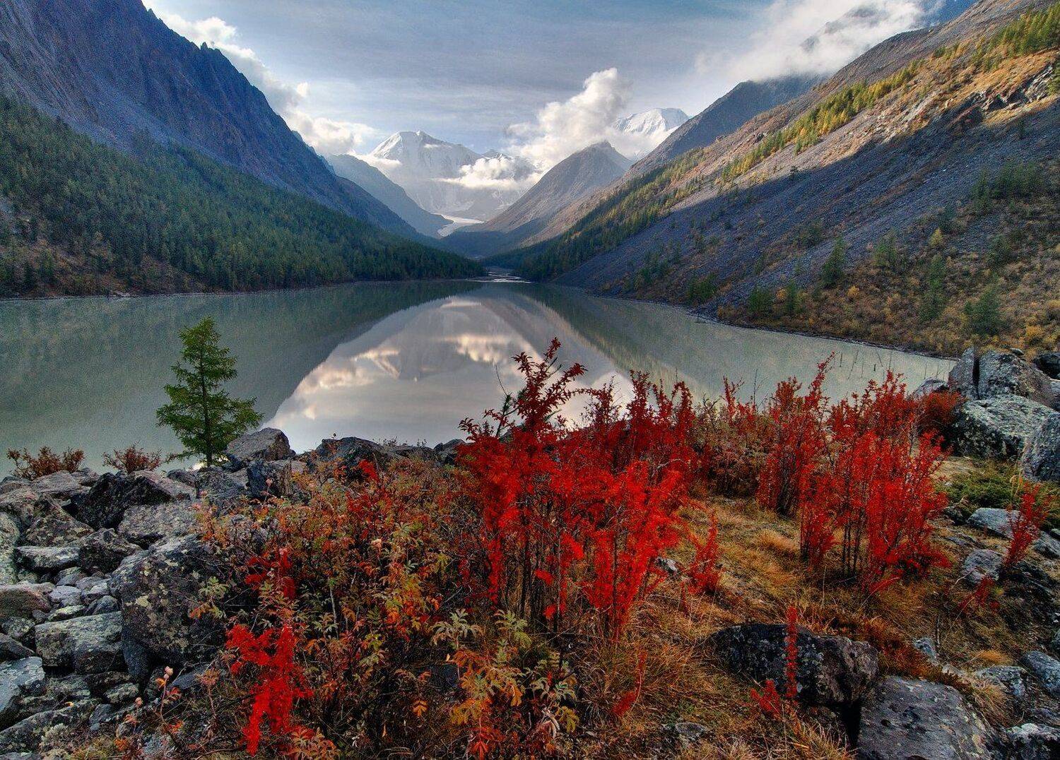 алтай, маашей, Клековкин Алексей