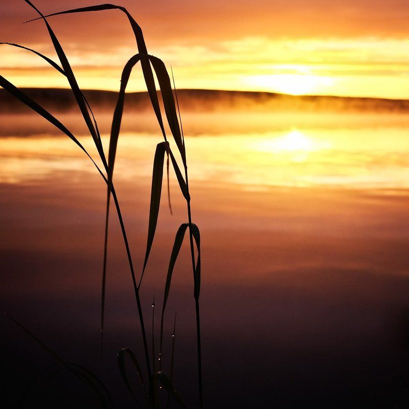 север кольский заполярье лапландия рассвет Рассвет на Пермус-озере фото превью