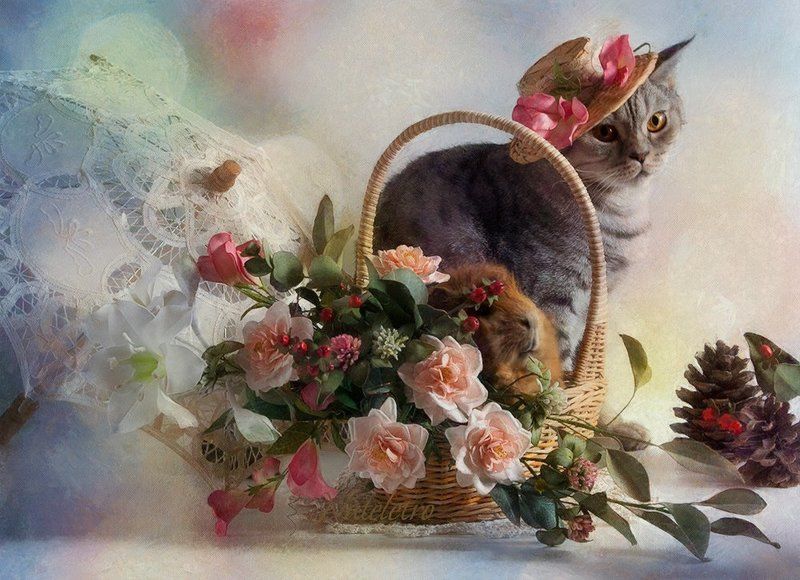 ~***~ фото превью